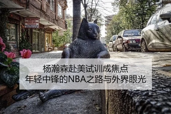 杨瀚森赴美试训成焦点 年轻中锋的NBA之路与外界眼光